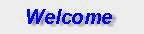 Welcome to Lien Consulting AS